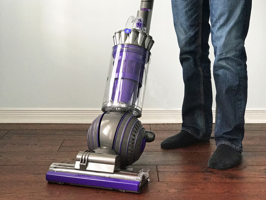 dyson ball animal two